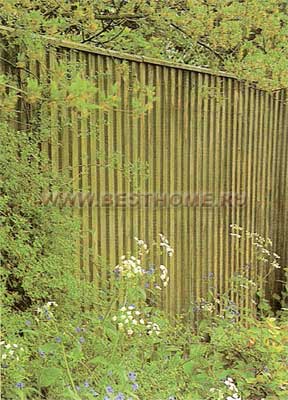 Глухая ограда на границе участка