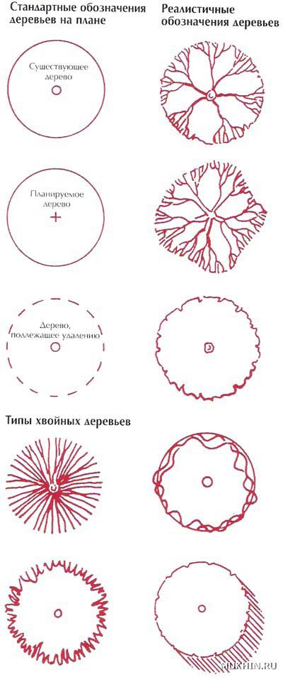 Условные обозначения деревьев и кустарников