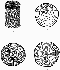 Пороки строения древесины