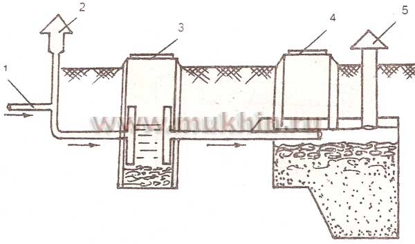 Схема местной канализации с вариантом фильтрующего сооружения
